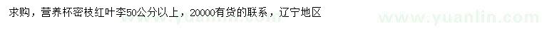 求購(gòu)50公分以上紅葉李
