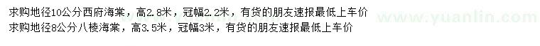 求購地徑10公分西府海棠、8公分八棱海棠