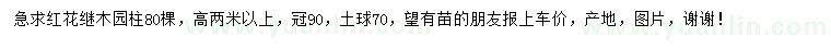 求購高2米紅花繼木圓柱