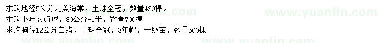 求購北美海棠、小葉女貞球、白蠟