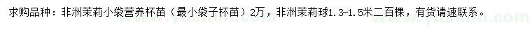 求購1.3-1.5米非洲茉莉球