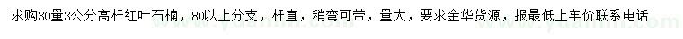 求購(gòu)30量3公分高桿紅葉石楠