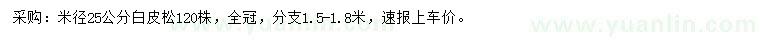 求購米徑25公分白皮松