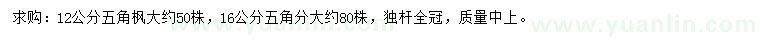 求購12、16公分五角楓