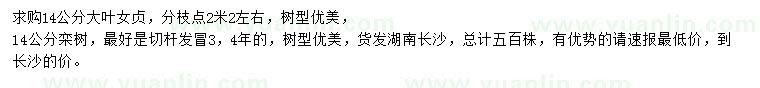 求購14公分大葉女貞、欒樹