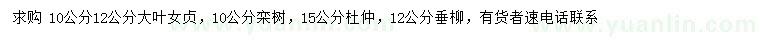 求購大葉女貞、欒樹、杜仲等