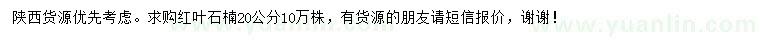 求購20公分紅葉石楠