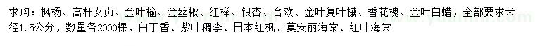 求購楓楊、高桿女貞、金葉榆等