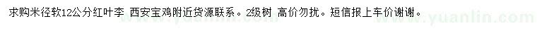 求購米徑12公分紅葉李