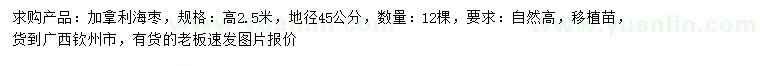 求購(gòu)高2.5米加拿利海棗