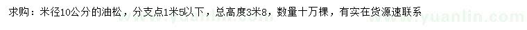 求購米徑10公分油松