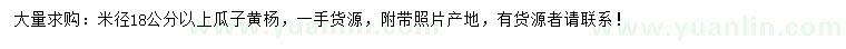 求購米徑18公分以上瓜子黃楊