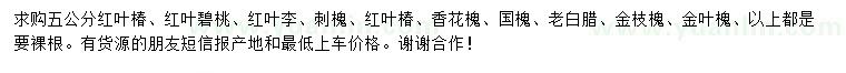 求購(gòu)紅葉椿、紅葉碧桃、紅葉李等