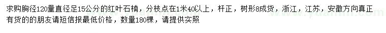 求購1.2米量15公分紅葉石楠