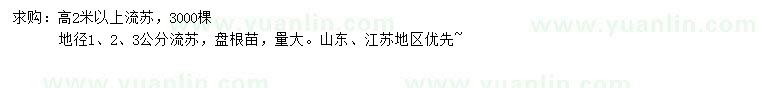 求購高2米以上流蘇、地徑1、2、3公分流蘇