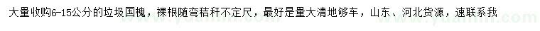 求購6-15公分國槐