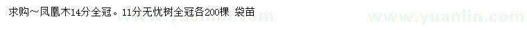 求購14公分鳳凰木、11公分無憂樹