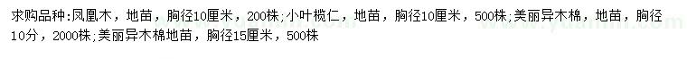 求購(gòu)鳳凰木、小葉欖仁、美麗異木棉