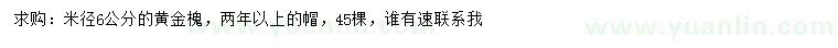 求購米徑6公分黃金槐