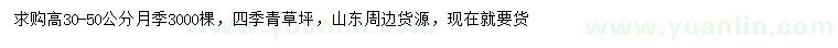 求購(gòu)高30-50公分月季、四季青草坪