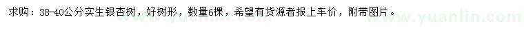 求購38-40公分銀杏樹