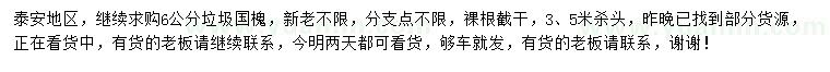 求購6公分國槐