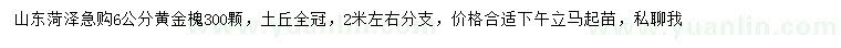 求購(gòu)6公分黃金槐