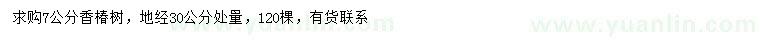 求購30公分量7公分香椿
