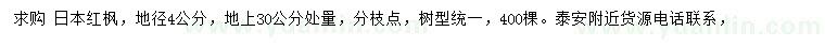 求購地徑4公分日本紅楓