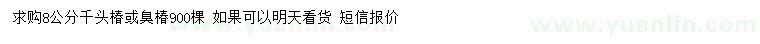 求購8公分千頭椿、臭椿