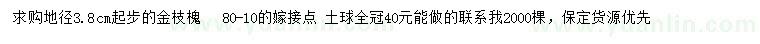 求購地徑3.8公分金枝槐