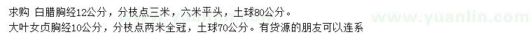 求購胸徑12公分白臘、10公分大葉女貞