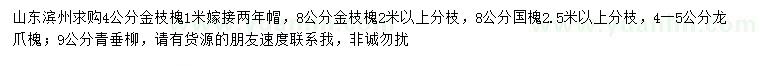 求購金枝槐、國(guó)槐、龍爪槐等