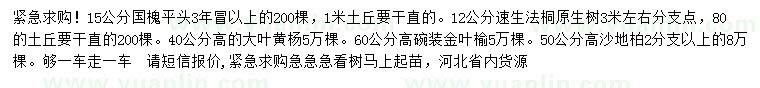 求購(gòu)國(guó)槐、速生法桐、大葉黃楊等