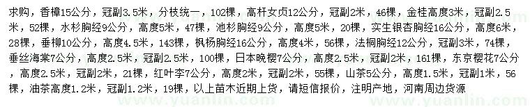 求購香樟、高桿女貞、金桂等