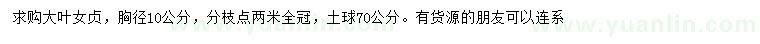求購胸徑10公分大葉女貞