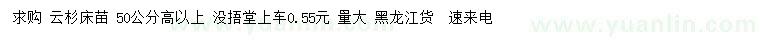 求購高50公分以上云杉