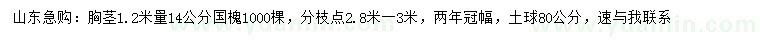 求購1.2米量14公分國槐