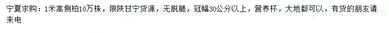 求購(gòu)高1米側(cè)柏