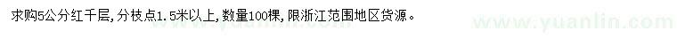 求購5公分紅千層