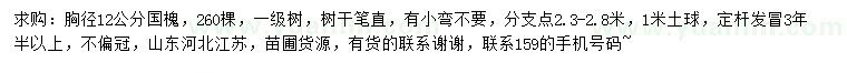 求購胸徑12公分國槐