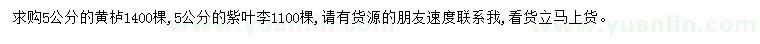 求購5公分黃櫨、紫葉李