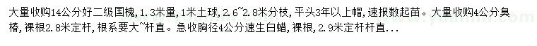 求購國槐、臭椿、速生白蠟