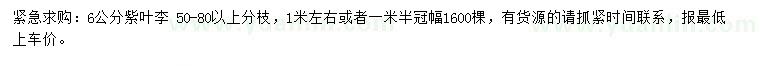 求購6公分紫葉李