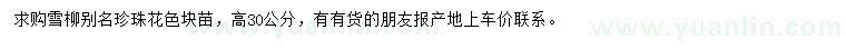 求購高30公分雪柳