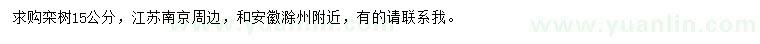 求購15公分欒樹