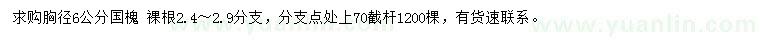 求購(gòu)胸徑6公分國(guó)槐