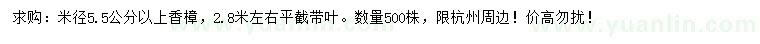 求購(gòu)米徑5.5公分以上香樟