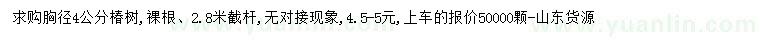 求購胸徑4公分椿樹