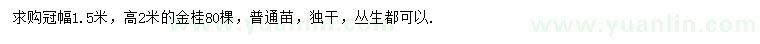 求購冠幅1.5米金桂